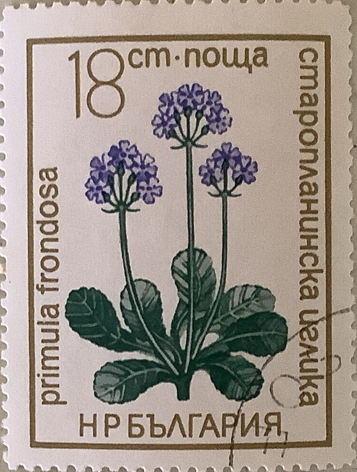 The 30th Anniversary Of The Destruction Of 14 Villages