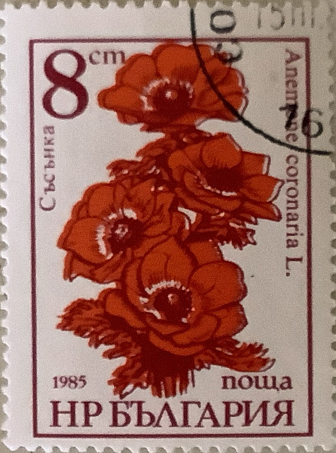 Jimi Hendrix Framed Stamps