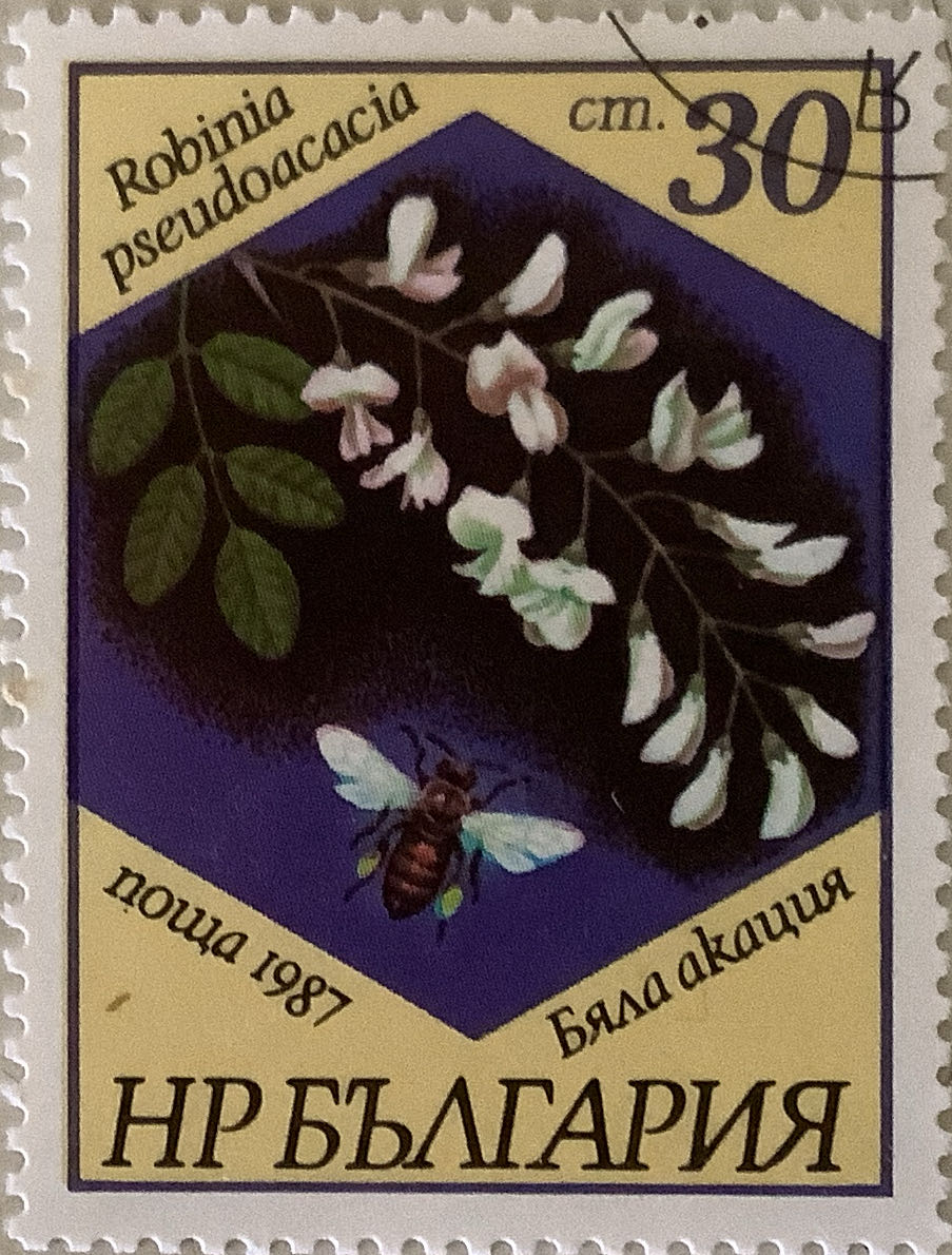 Glade Ambientador Spray Brise Olor Jazmin De Bali 300 Ml Jasmine Sandalwood & Aroma 300ml Ml. Aerosol Air Johnson Jazmín