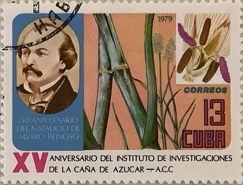 Twilight 1-3 Twilight/New Moon/Eclipse