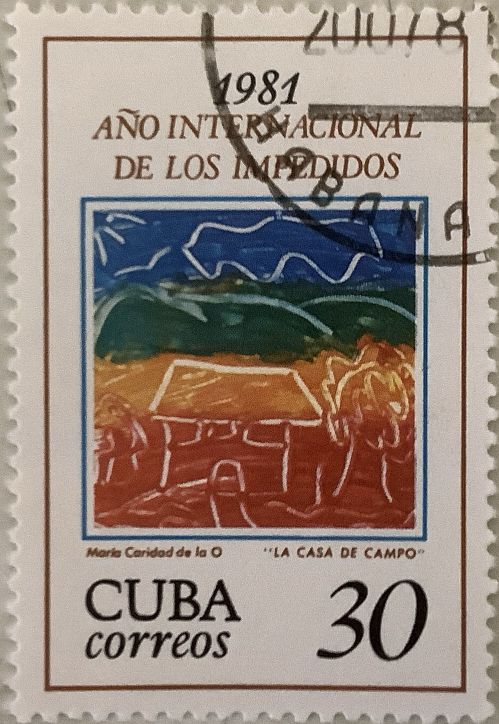 Ring Necked Pheasant