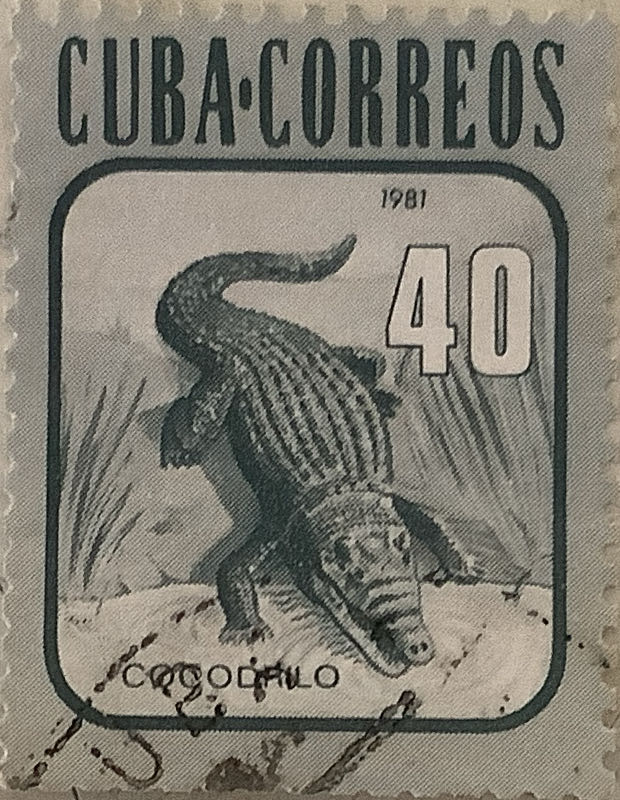 Paraolympic Games Sydney