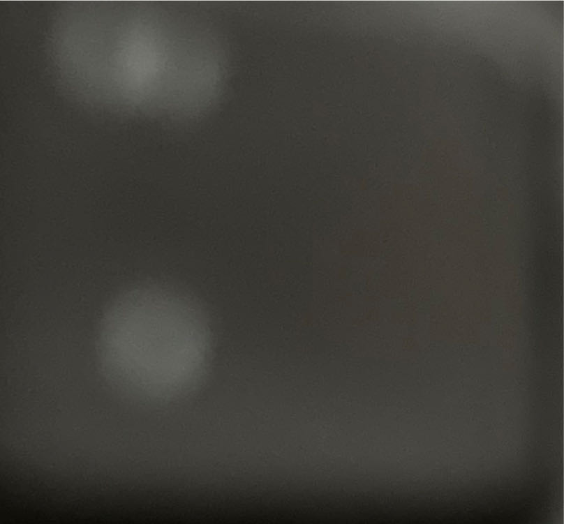 Mickey and the Magic Bean