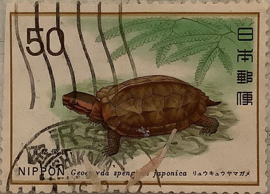 И.Крамской. Портрет И.Айвазовского, многоцветный