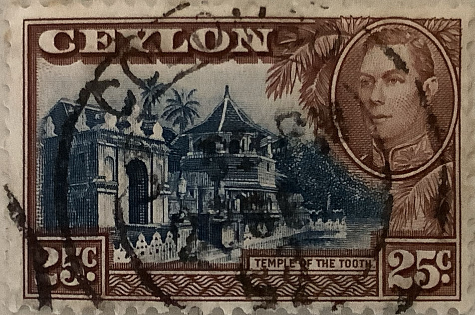 S1709 Feel So Blessed