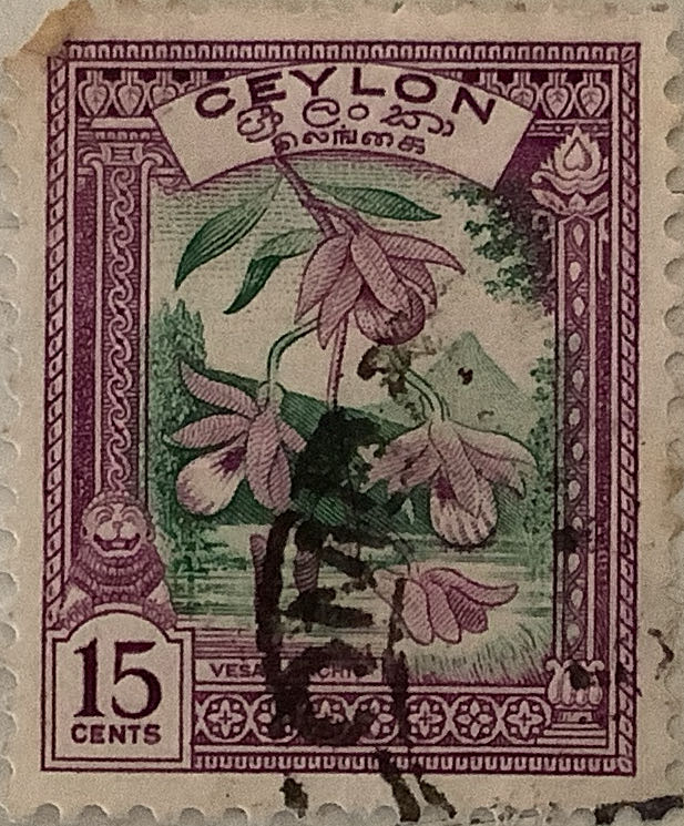 2000 Exploring The Solar System