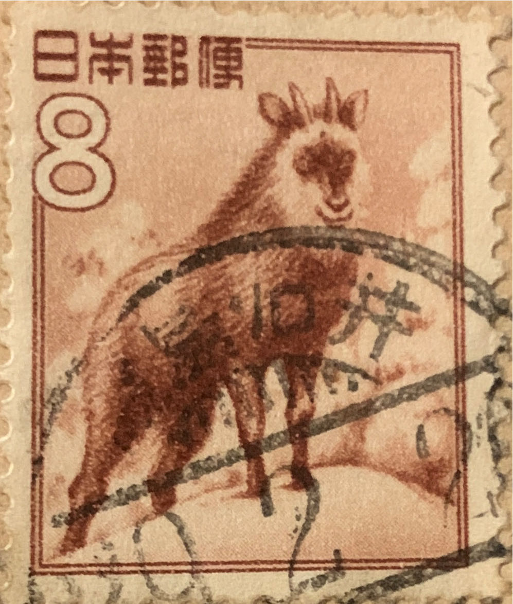 Il Faut Bien Le Dire 