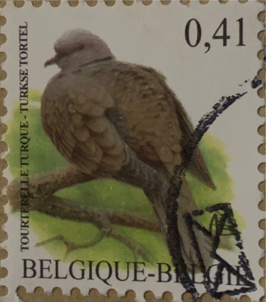 Digital Energy Case For Airpods® Assorted Designs Dms3-