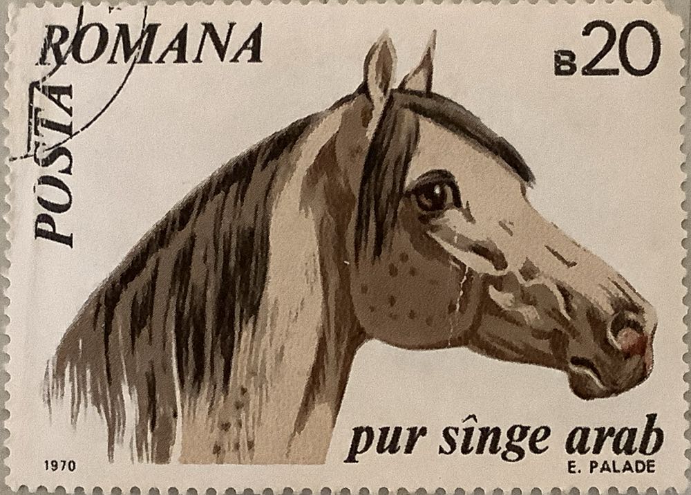 S2405 Soak Up The Sun