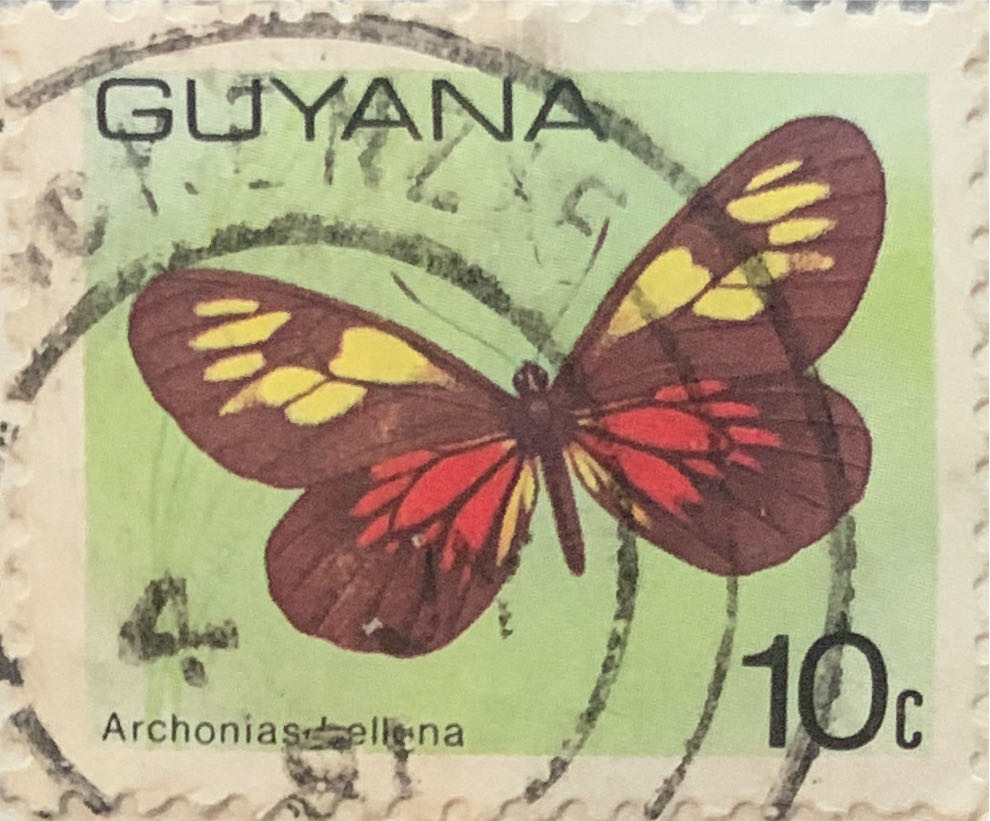 The 100th Anniversary Of St. Batholomew’s Fair