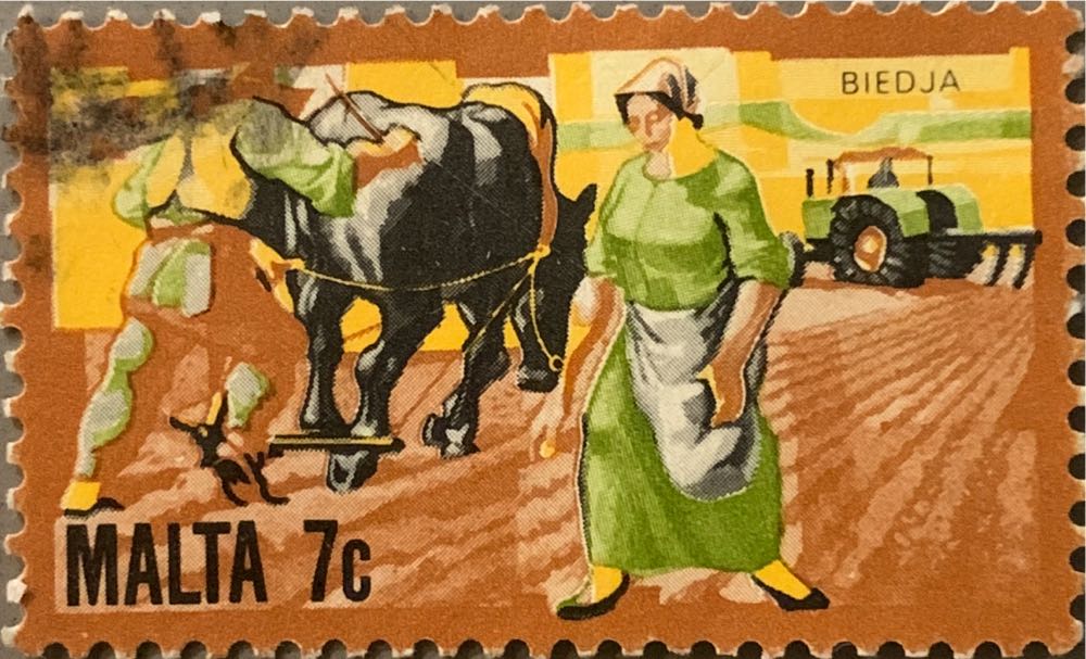 International Day of Literacy