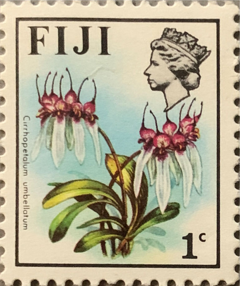 1411. 500 лет со дня рождения Ивана Фёдорова