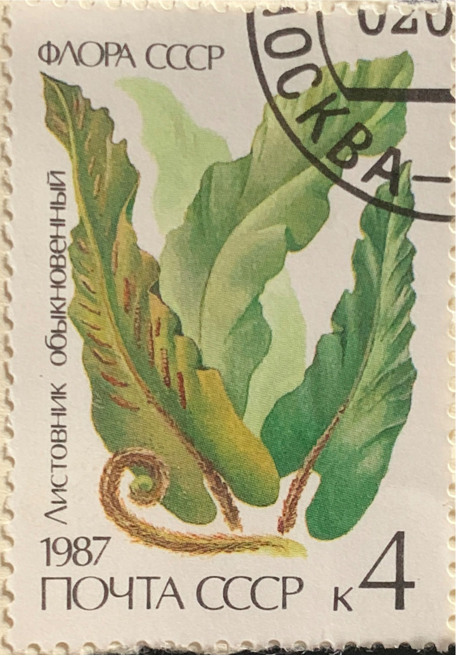 Space Animal Signs of the Mongolian Calendar