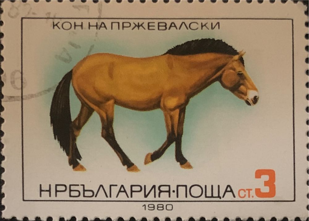 Международная выставка «Связь-75»