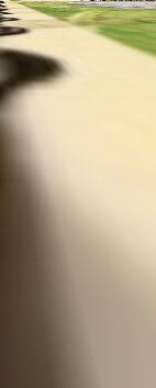 Hydrangea  stamp collectible - Main Image 2