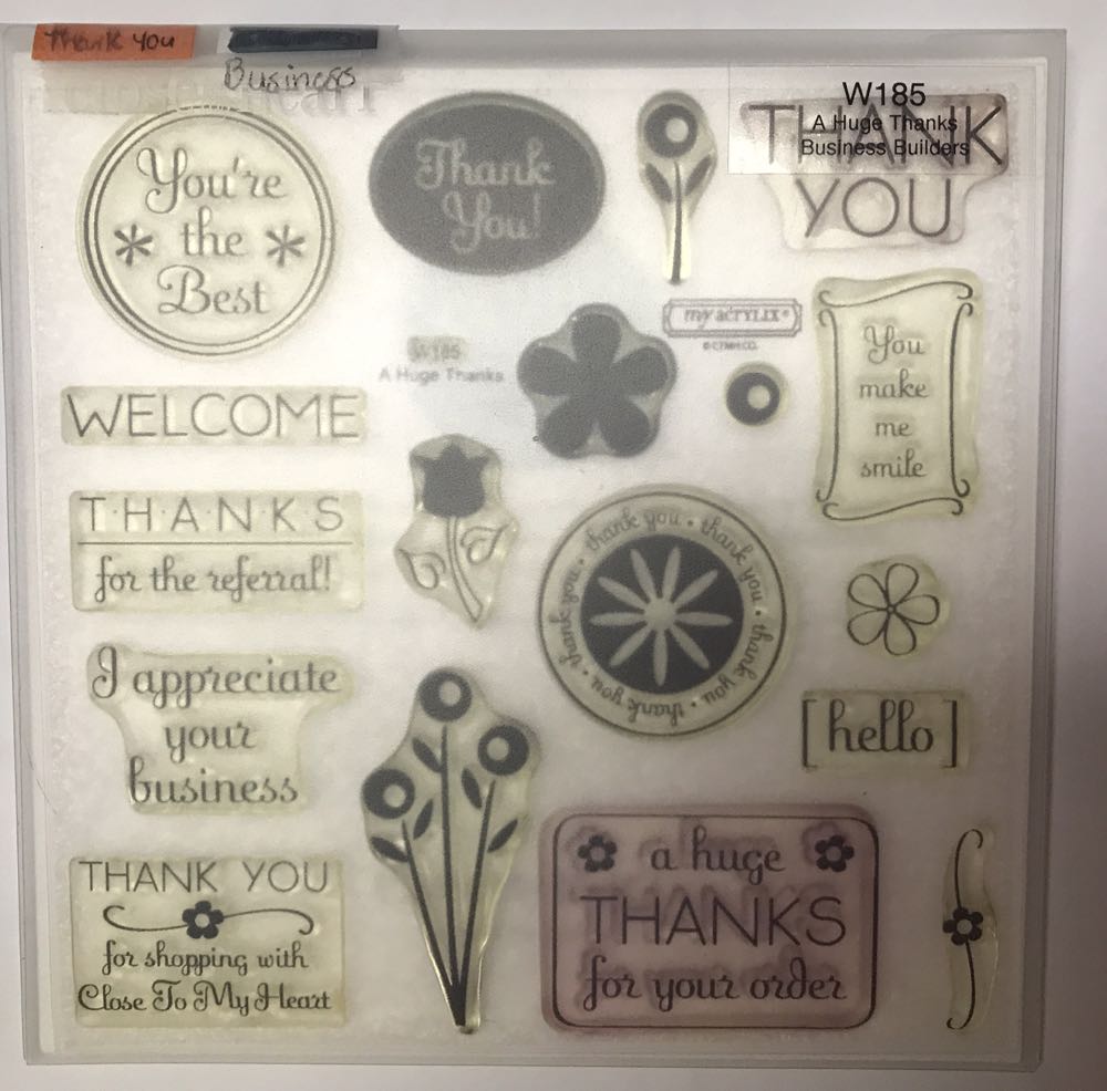 Z3779 Wishing You Everything  Stamp And Thin Cuts