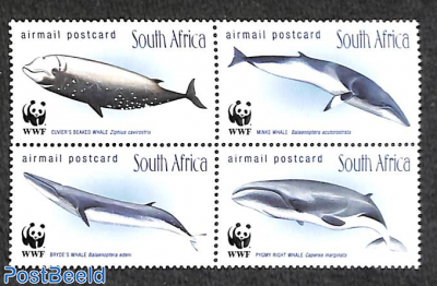 Nemo, Squirt and Pearl