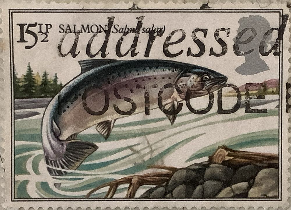 Chip N Dale Explorers