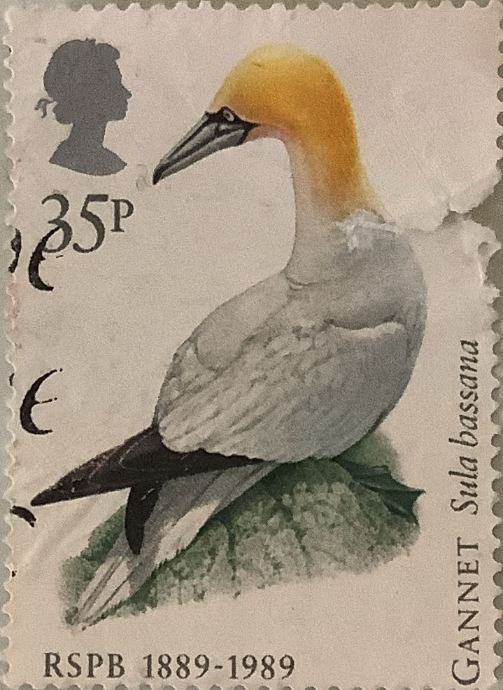 Исследование планет