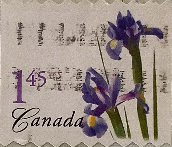 S1808 For The Love Of Crafting