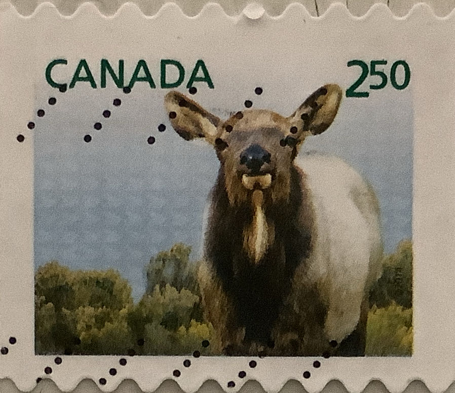 Animals 6v, automat stamps