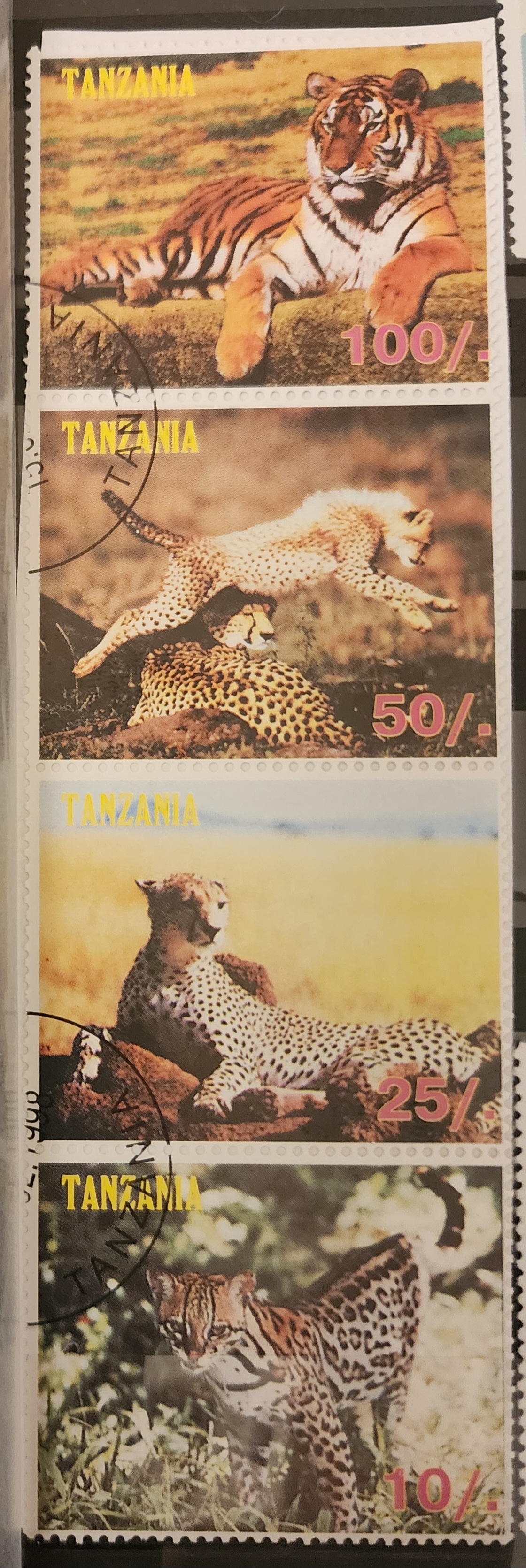 Z8031 Smore Adventures With Thin Cuts