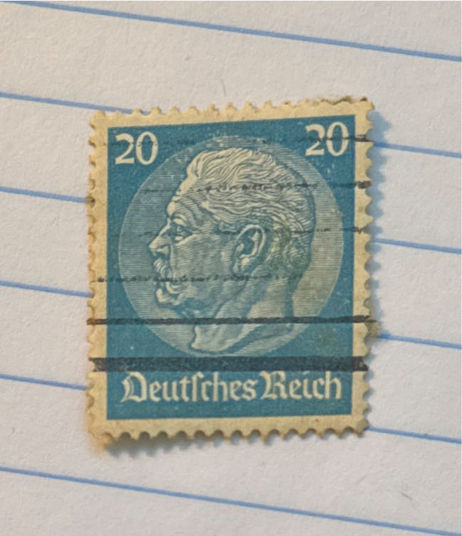 The Shy Little Kitten