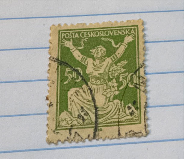 Beauty of friendship* beautiful trees dies