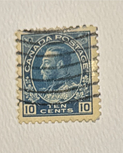 Afl & Aflw 2024 Season