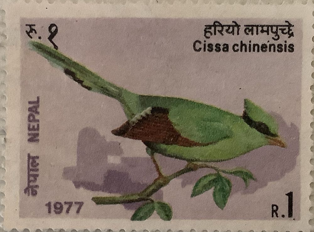 Scooby-Doo! In Wreath