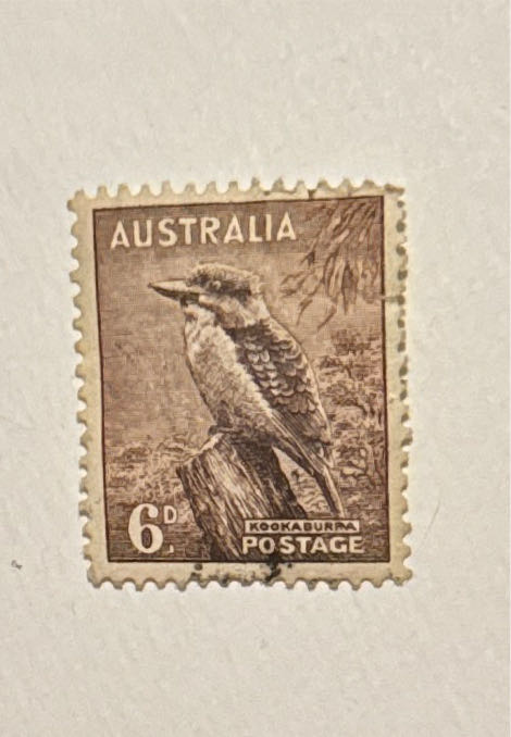 100 Years Of The Brownlow Medal