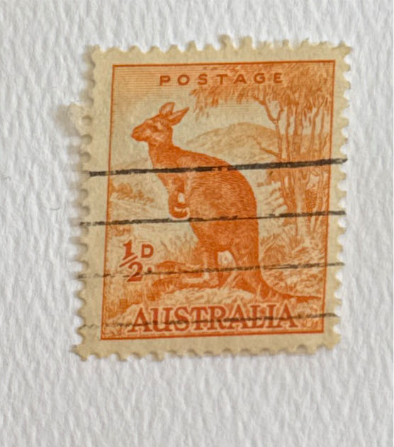 Bluey Pnc Uncle Stripe Aunt Trixie