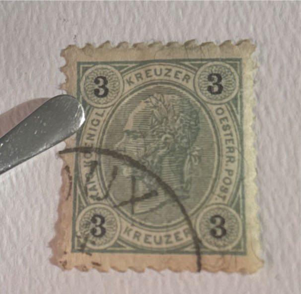 The Jersey Connection