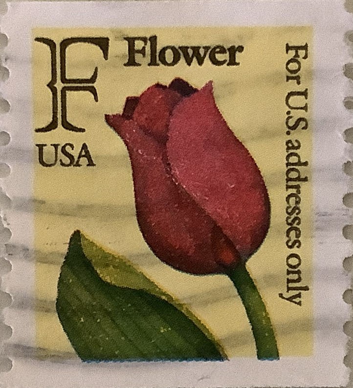 Teenage Ninja Mutant Turtles 