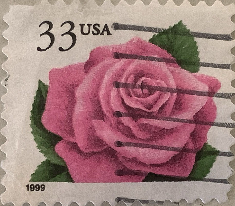 Цветы альпийских лугов Средней Азии