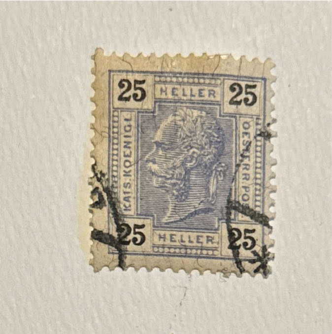 The 10th Anniversary Of The Saudi Arabian Red Crescent Society