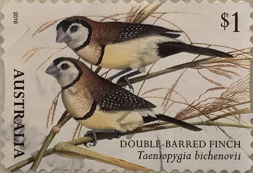 3335. Серия «Лауреаты Нобелевской премии». 175 лет со дня рождения И.П. Павлова (1849–1936), учёного, физиолога