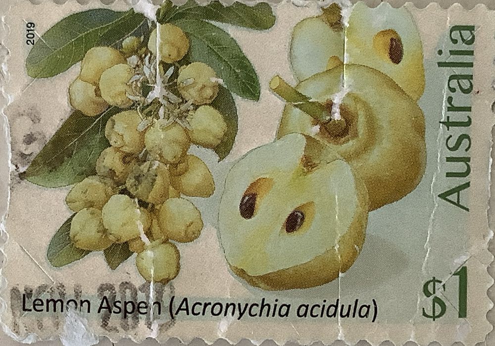 Scooby-Doo! Mystery Machine