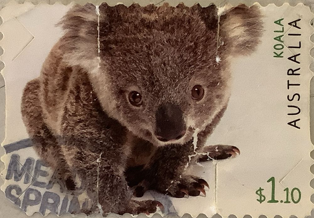 Tigger’s Springy Tree - Winnie The Pooh