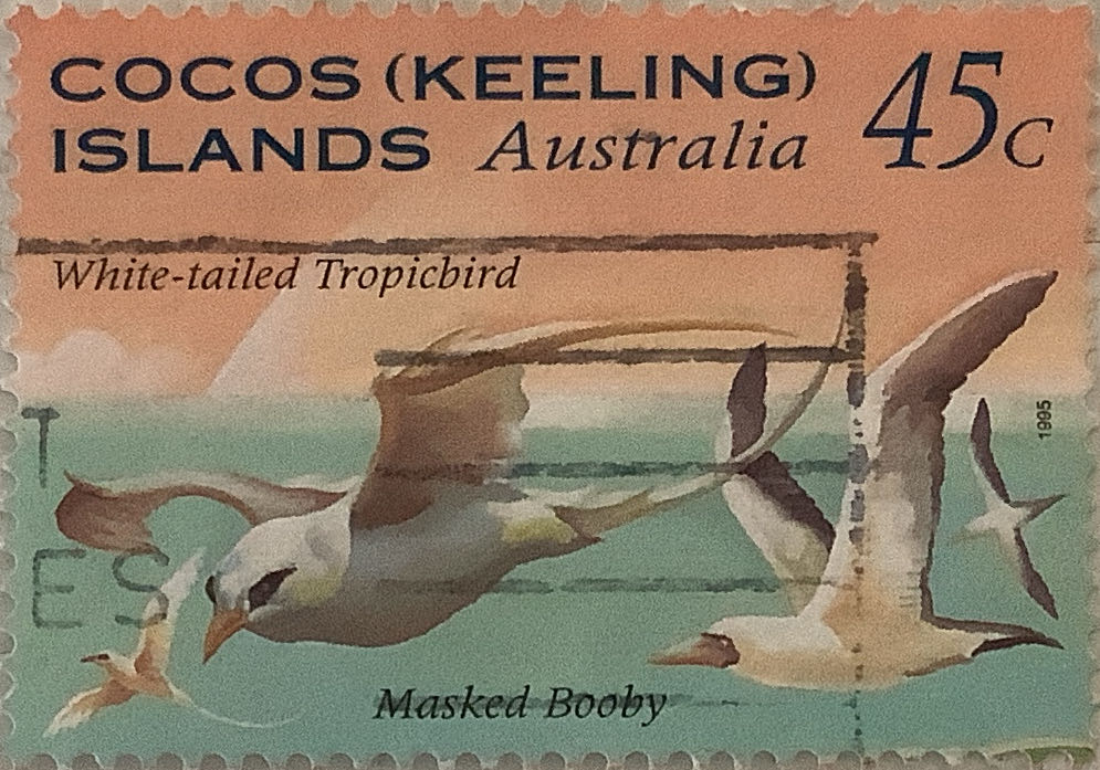 The 100th Anniversary Of Australian Cinema Movie Posters