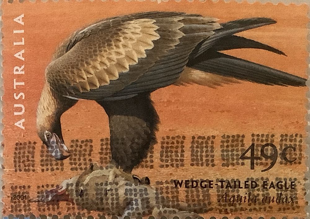 Sarcastic Sentiments