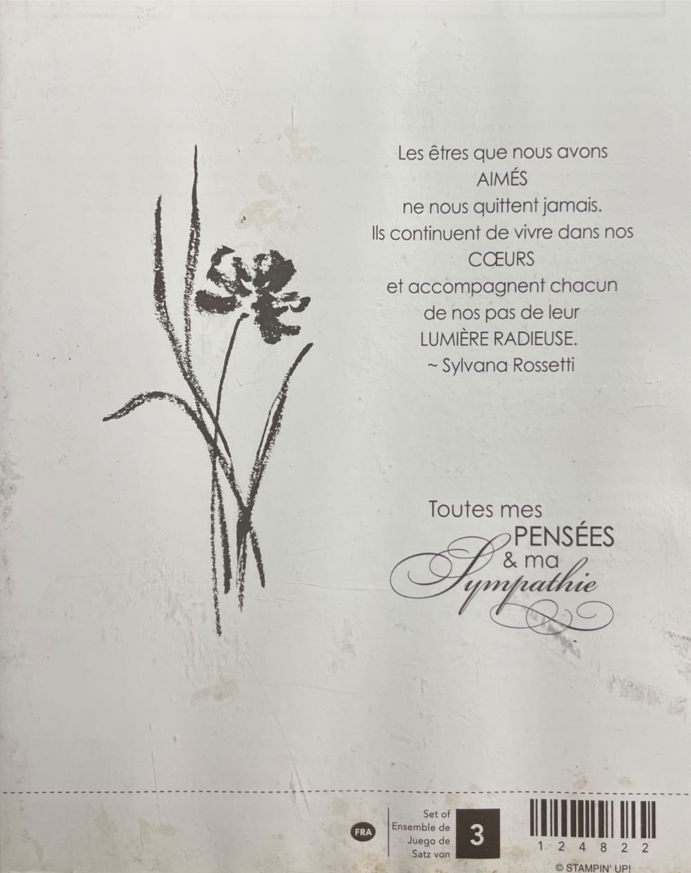 С Новым годом!» ДНР 2018