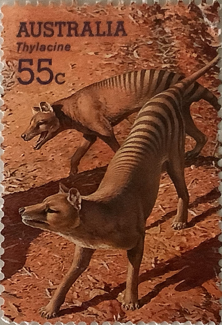 Ralphie Parker Saves The Day