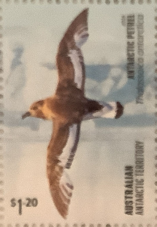 Lighthouses - Presentation Pack