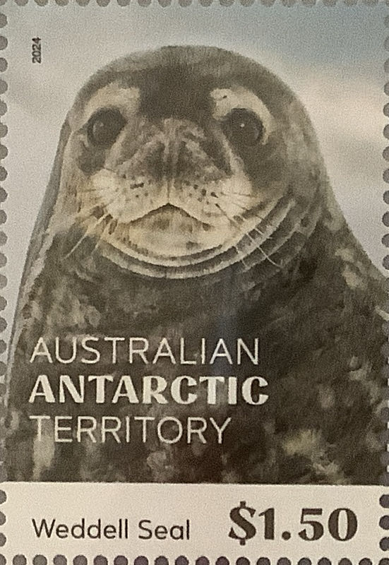 Shakespears Globe & The Bankside Theatres - Presentation Pack