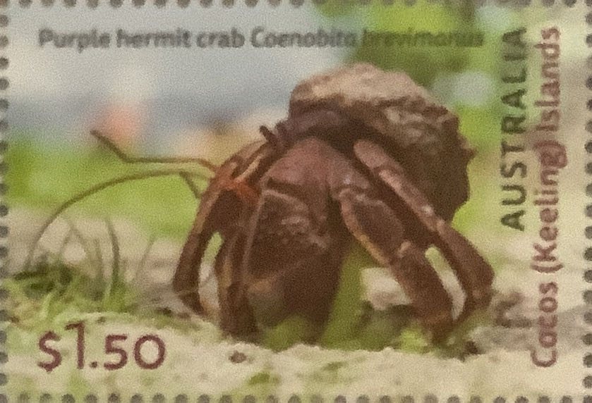 Разгром Фашистов под Ленинградом, 1 марка