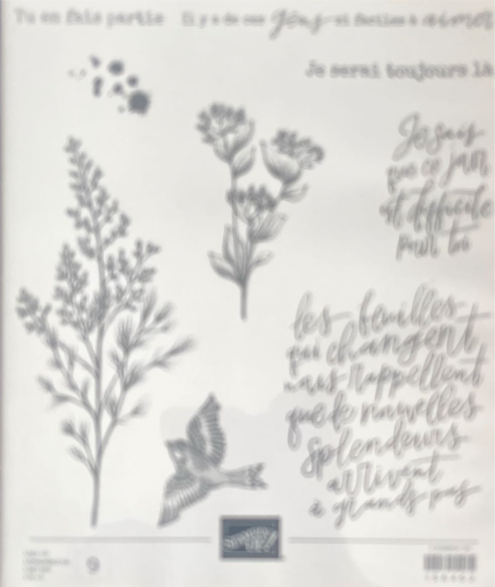 Australia Rsl Centenary Medallion