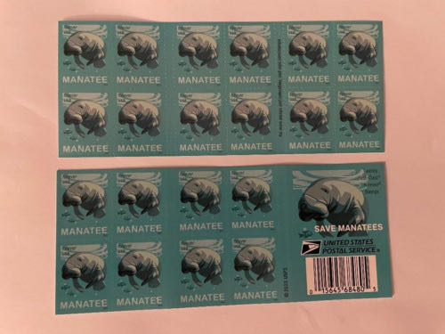 SW: X-Wing Starfighter on Dagobah