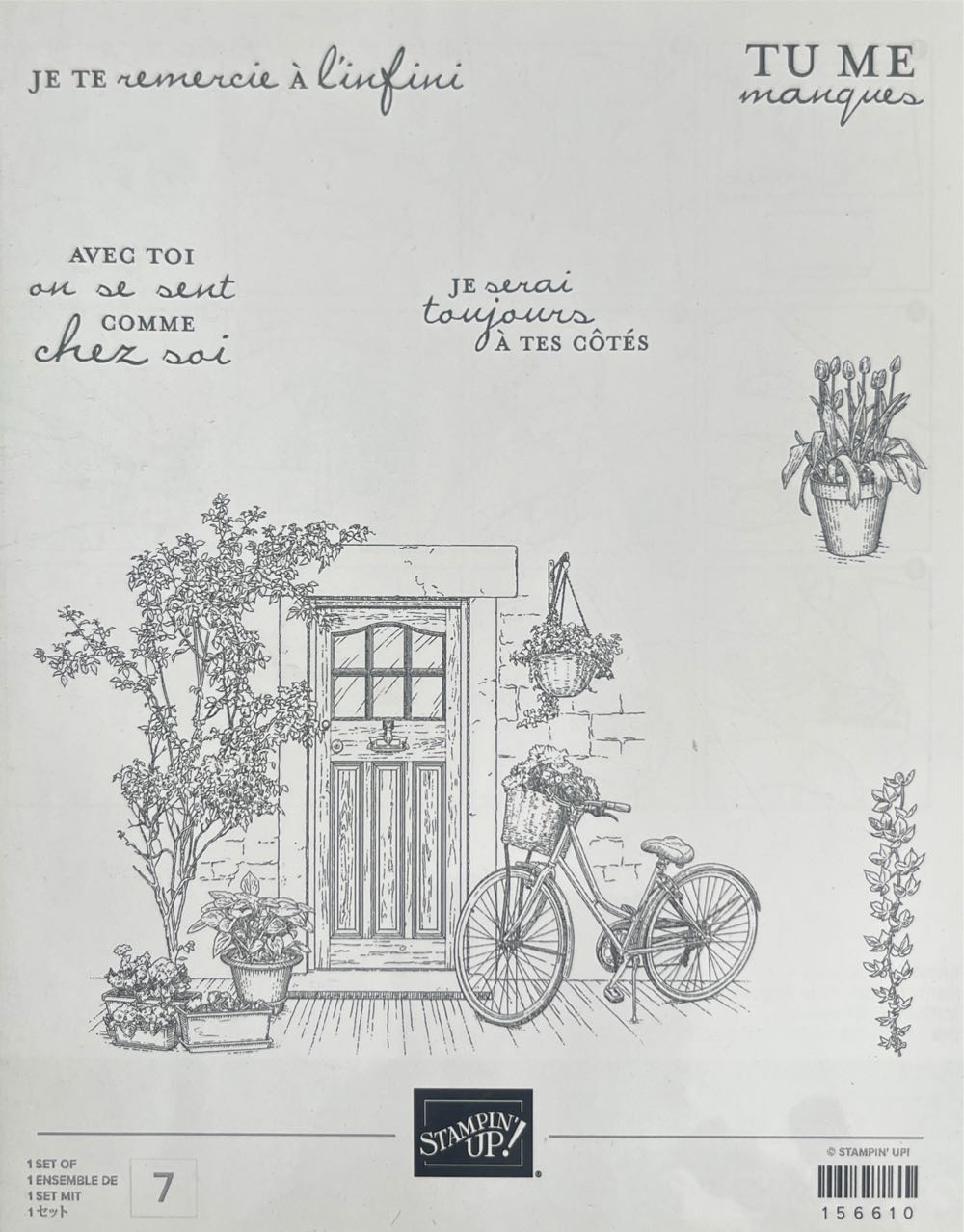 Year Of The Dragon 2024