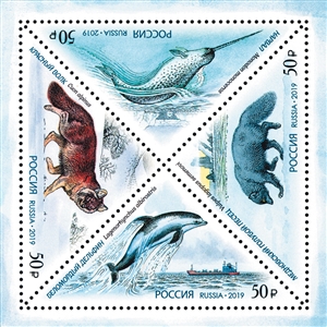 Football Legends - Presentation Pack